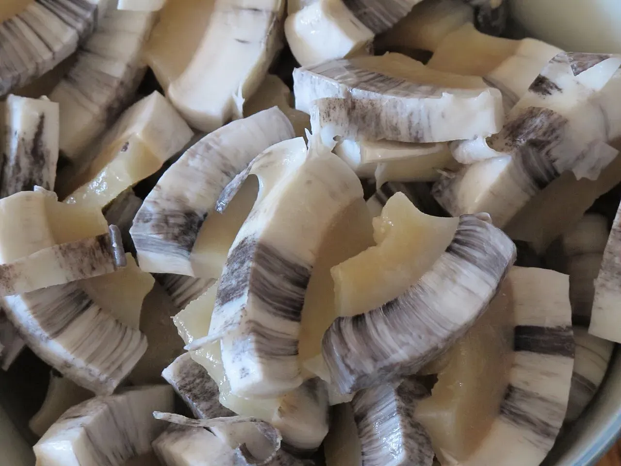 Кусочки мактака (Lisa Risager / Wikimedia)