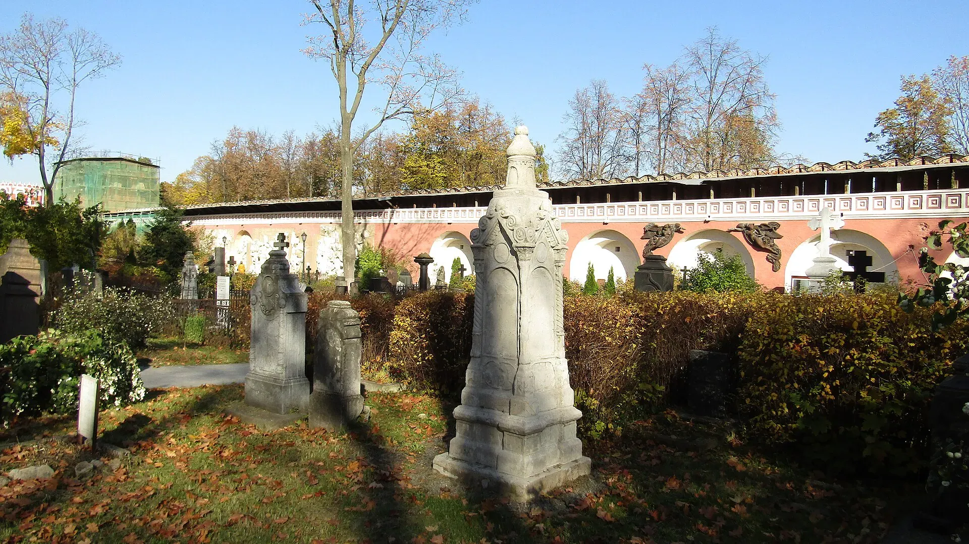 Фото: Ulaisaeva / Wikimedia