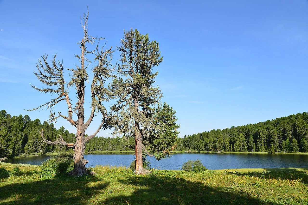 На Каракольских озёрах (Petrichenkov Mikhail / Wikimedia)