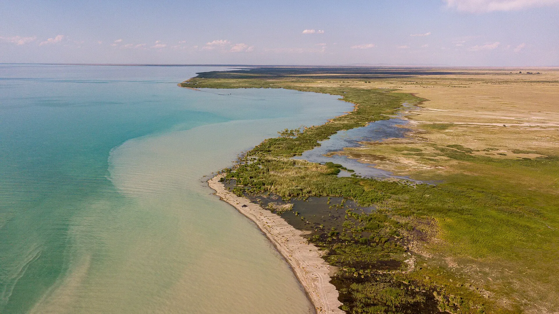 Озеро Алаколь возле села Кабанбай. Фото:&nbsp;Coopypasted | Wikimedia
