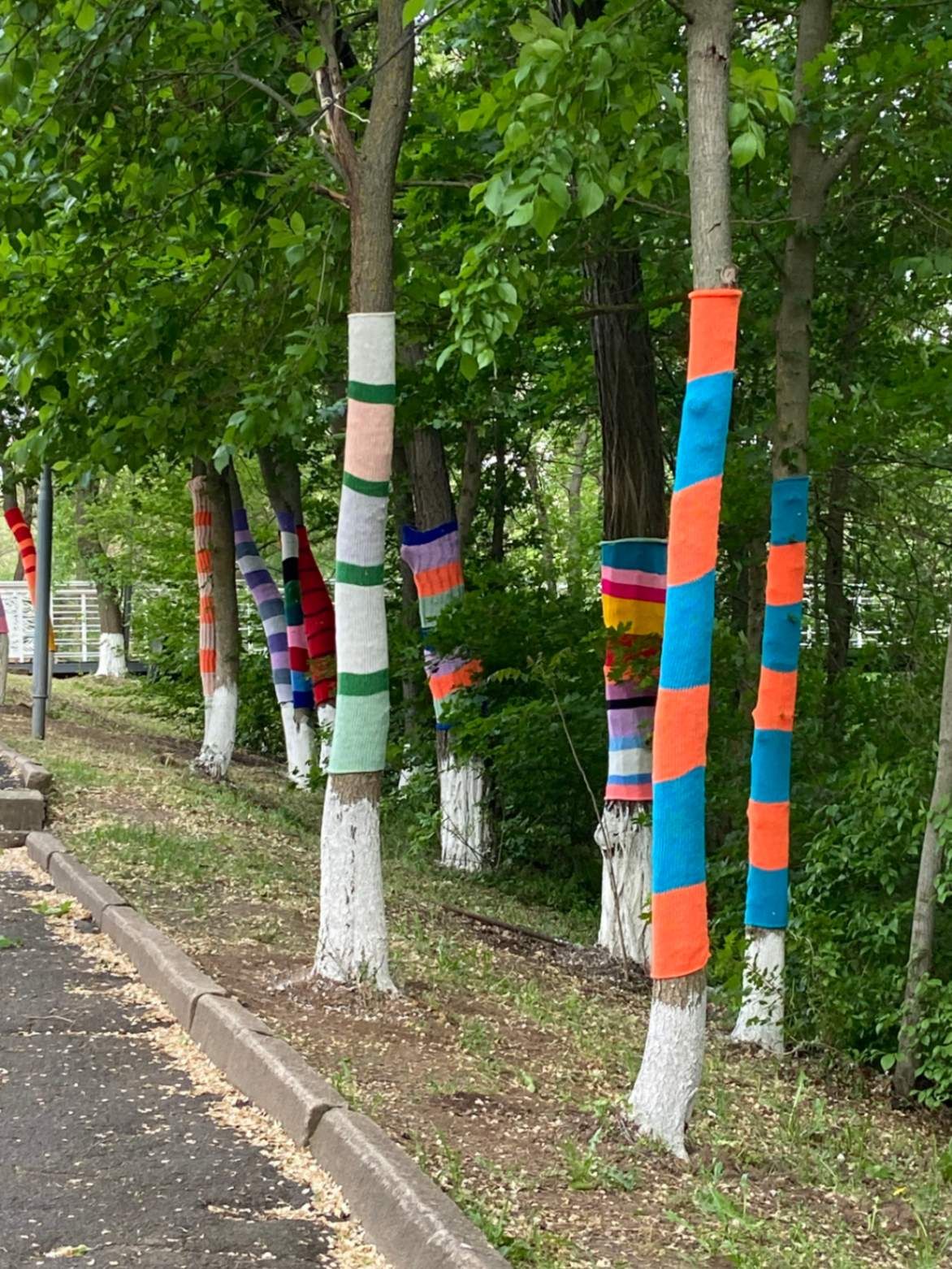 Парк «Дружба». Автор фото Анастасия Пелевина