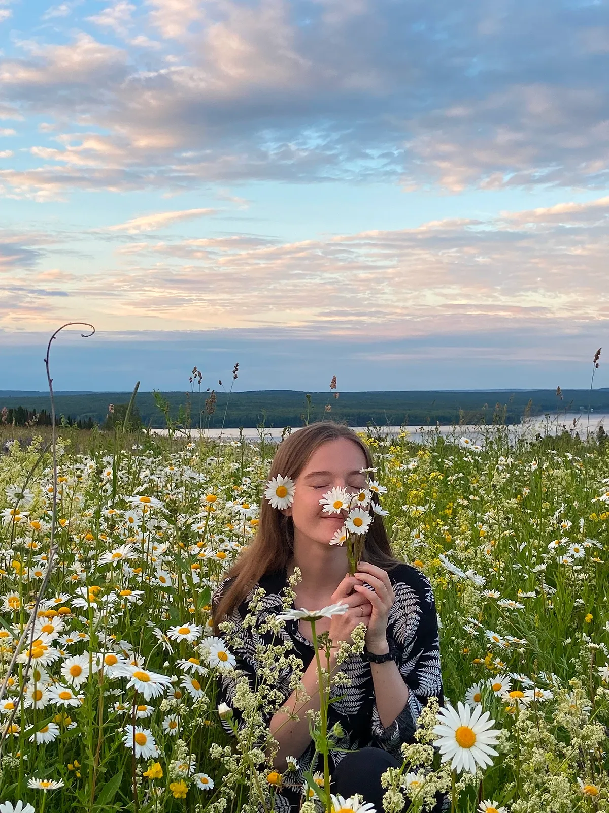 Поля ромашки. Автор фото Анастасия Пелевина