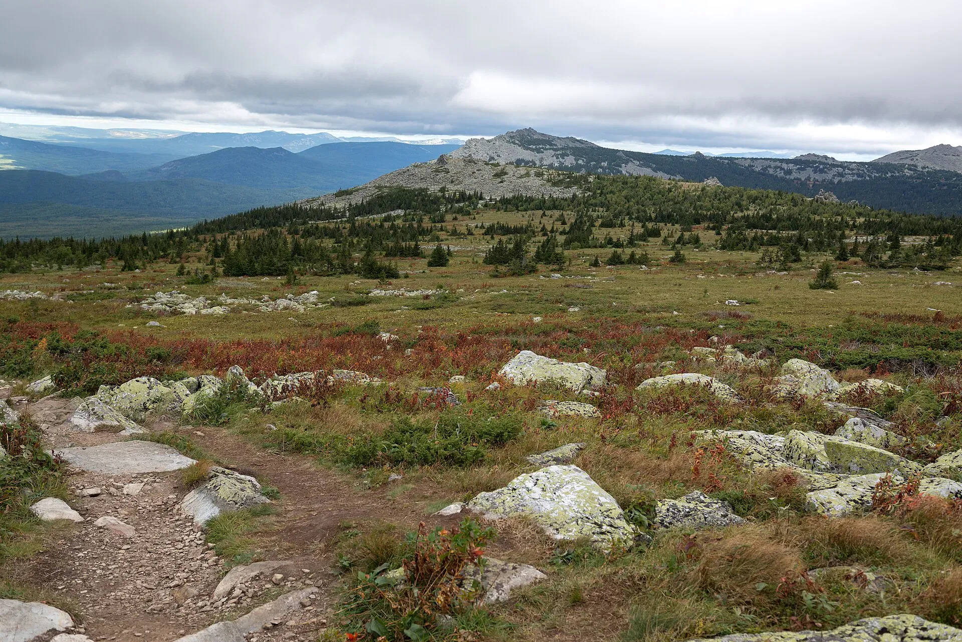 В окрестностях Иремеля. Фото: Azmanova Natalia | Wikimedia