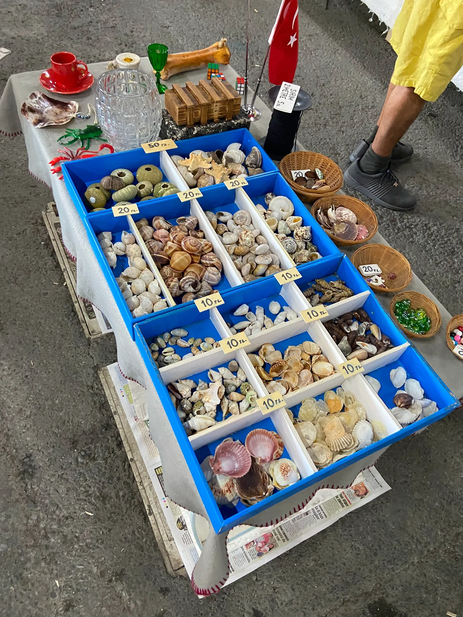Ракушки от 10 лир. Автор фото Анастасия Пелевина