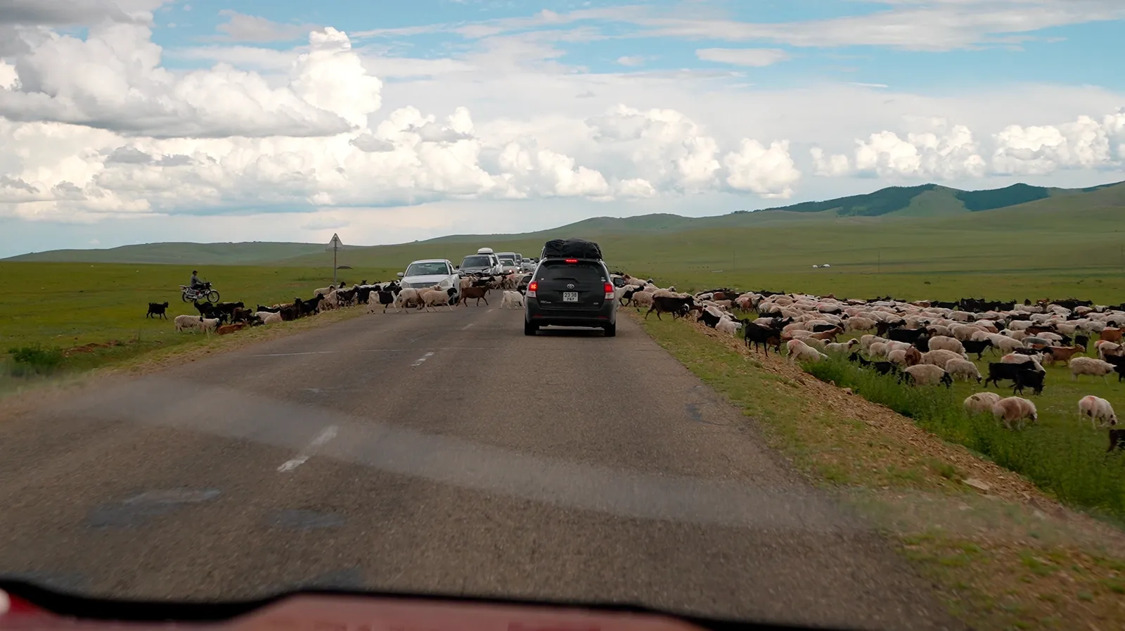 И это еда / фото Дмитрий Полудин