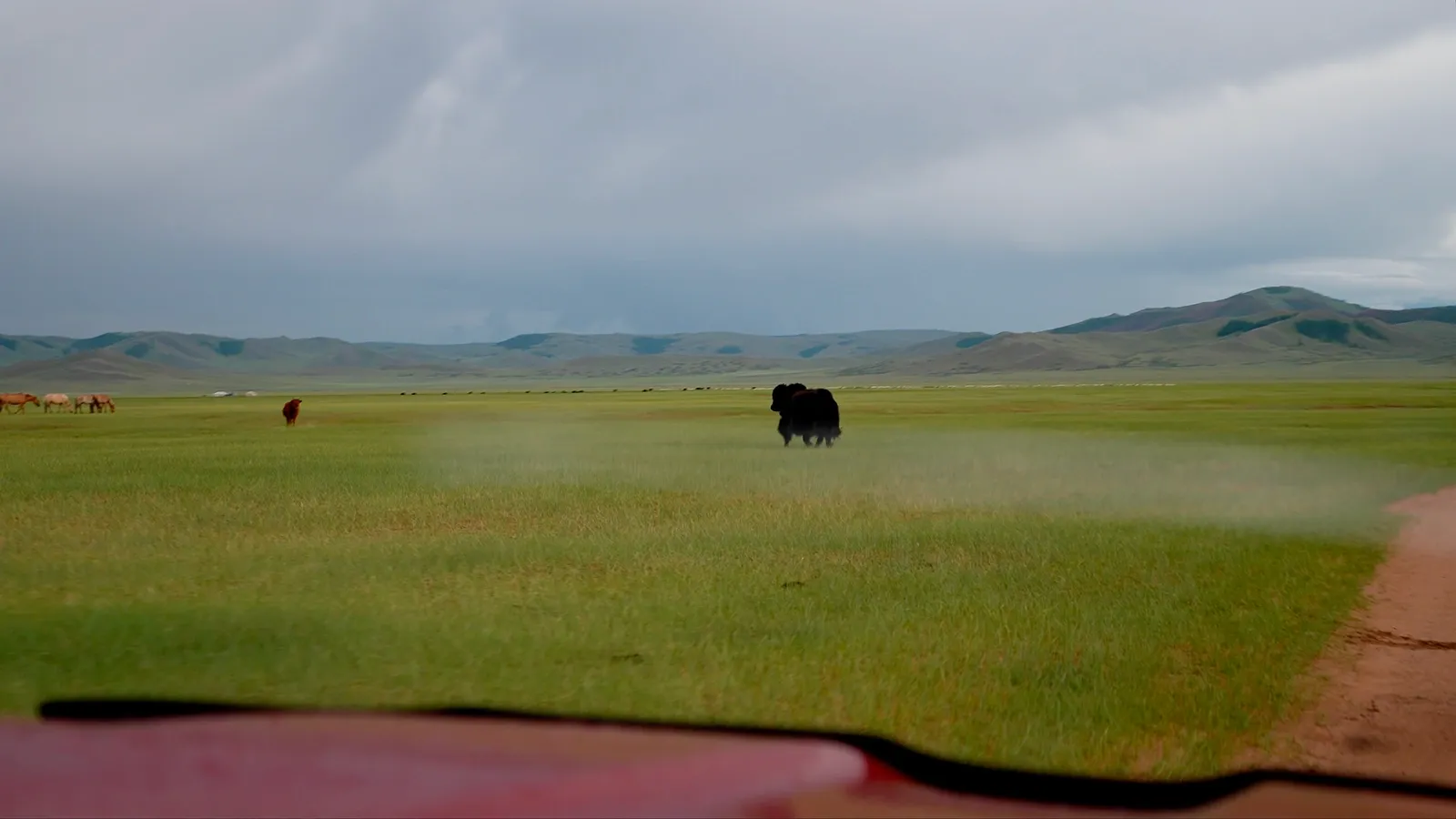 Одинокая еда / фото Дмитрий Полудин