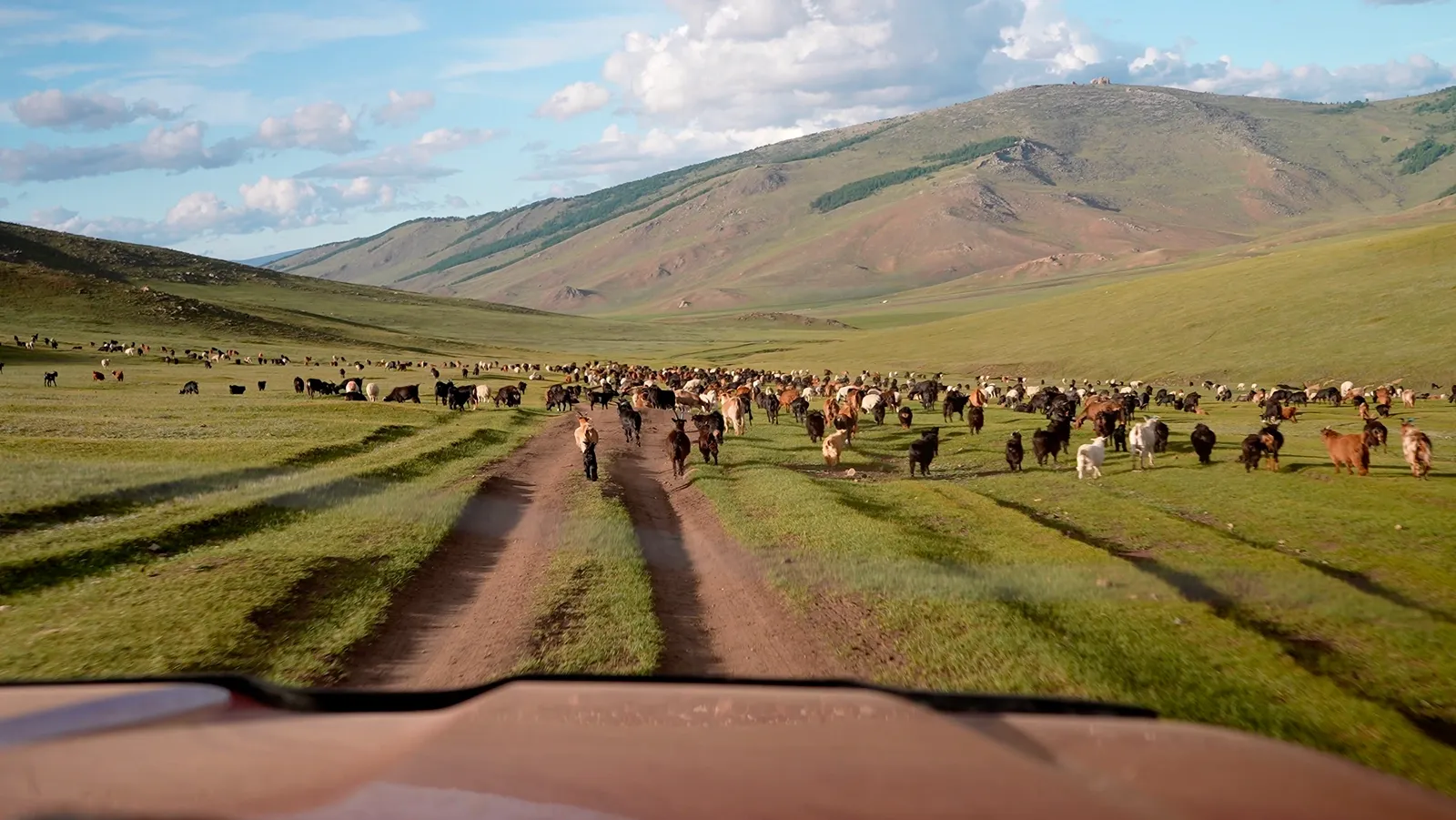 Еда / фото Дмитрий Полудин