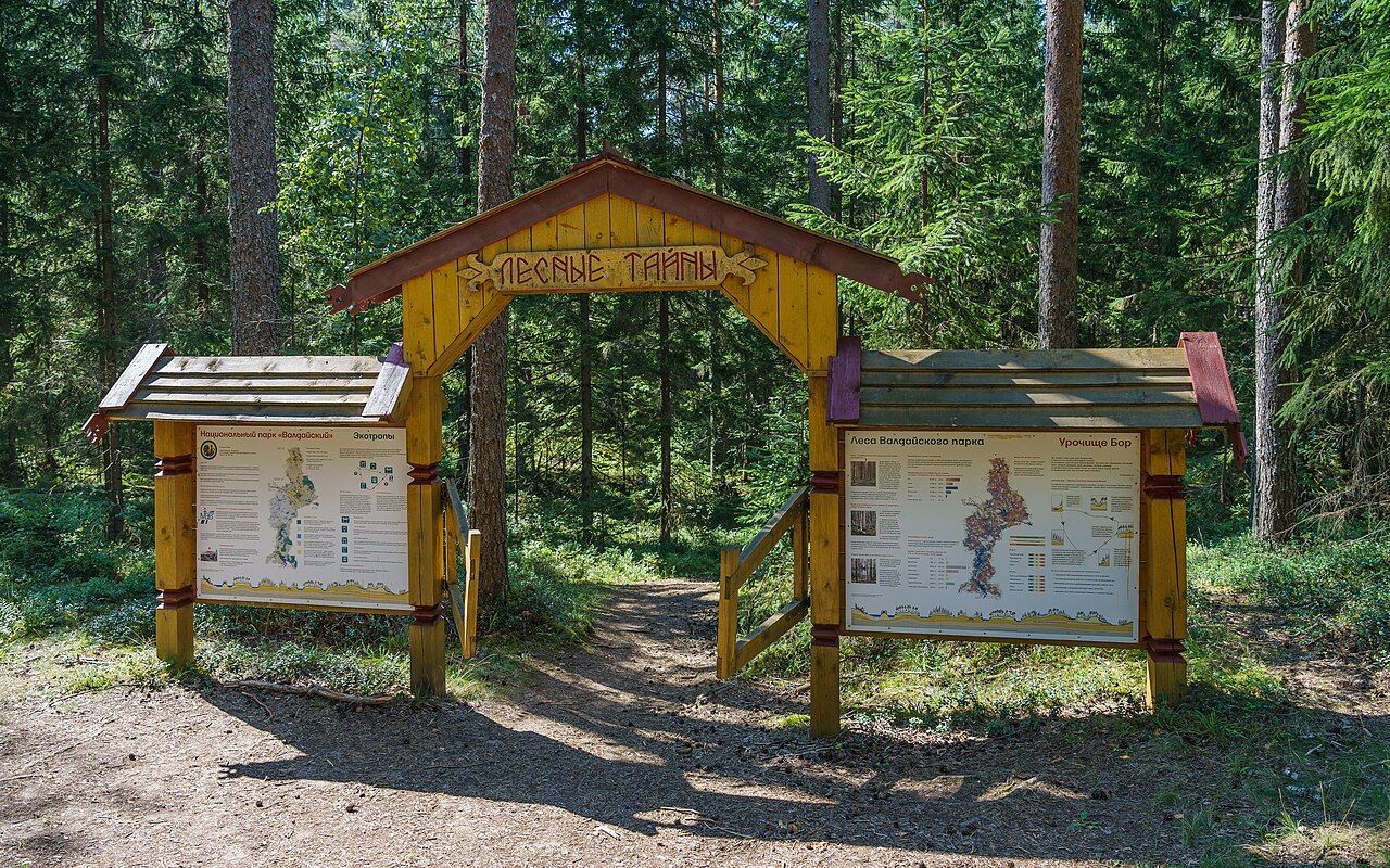 Экотропа в Валдайском национальном парке (A.Savin / Wikimedia)