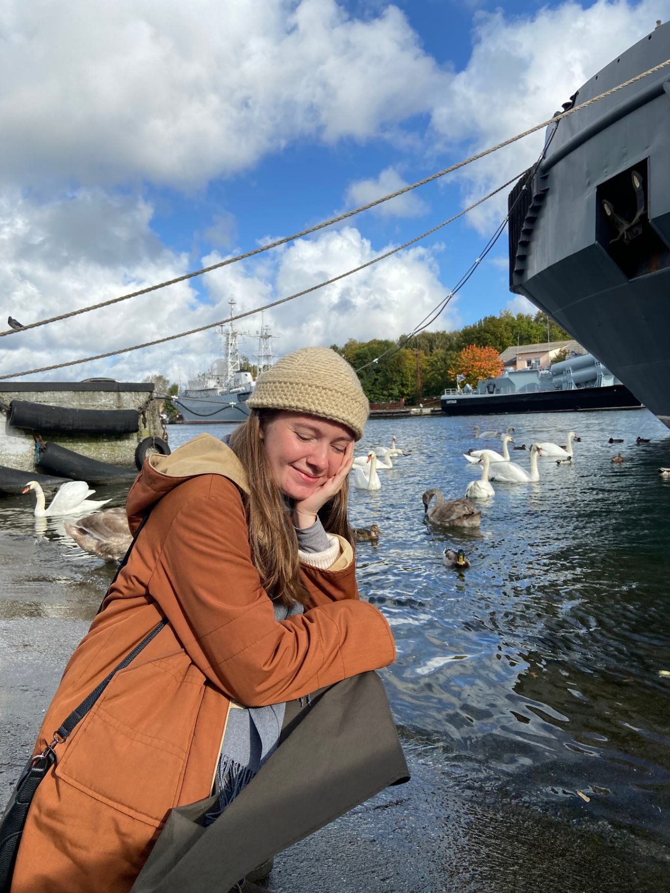 Балтийские лебеди. Фото: Анастасия Пелевина