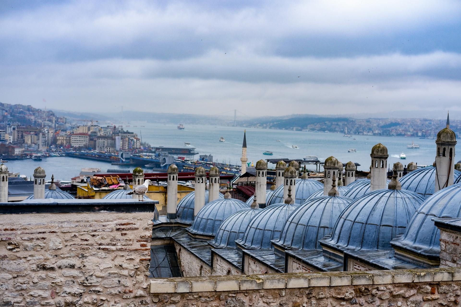 Вид на Босфор, который идет в комплекте с мощным лайнапом / S. Deniz / pexels.com