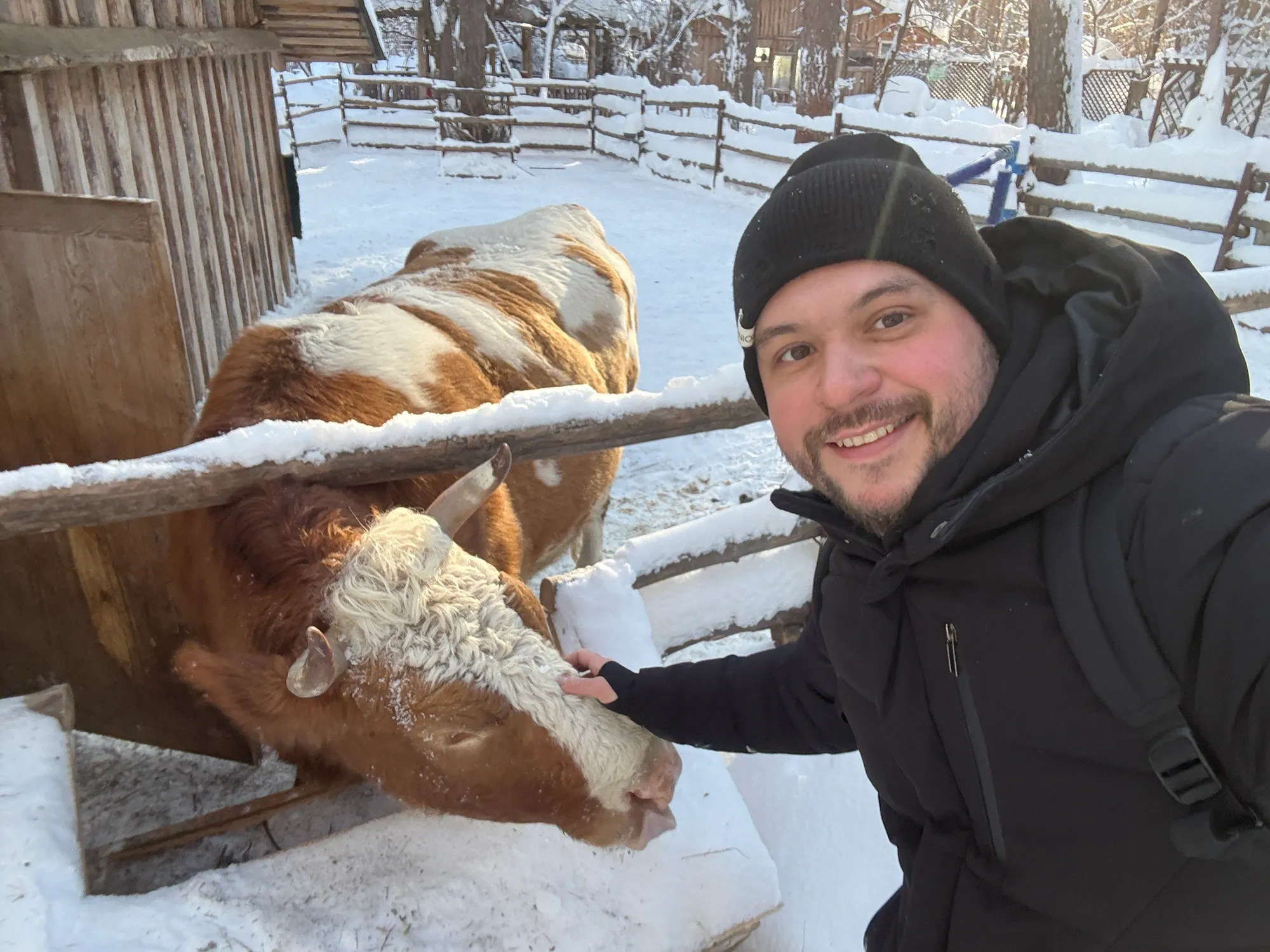 Ну хотя бы погладил