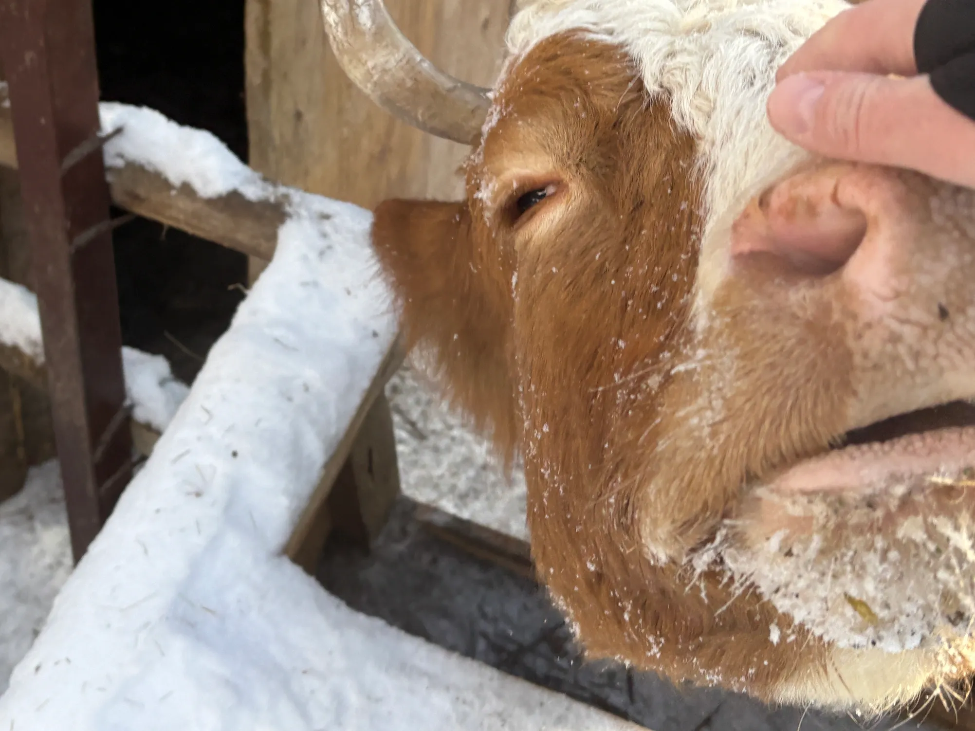 Маше понравился хлеб