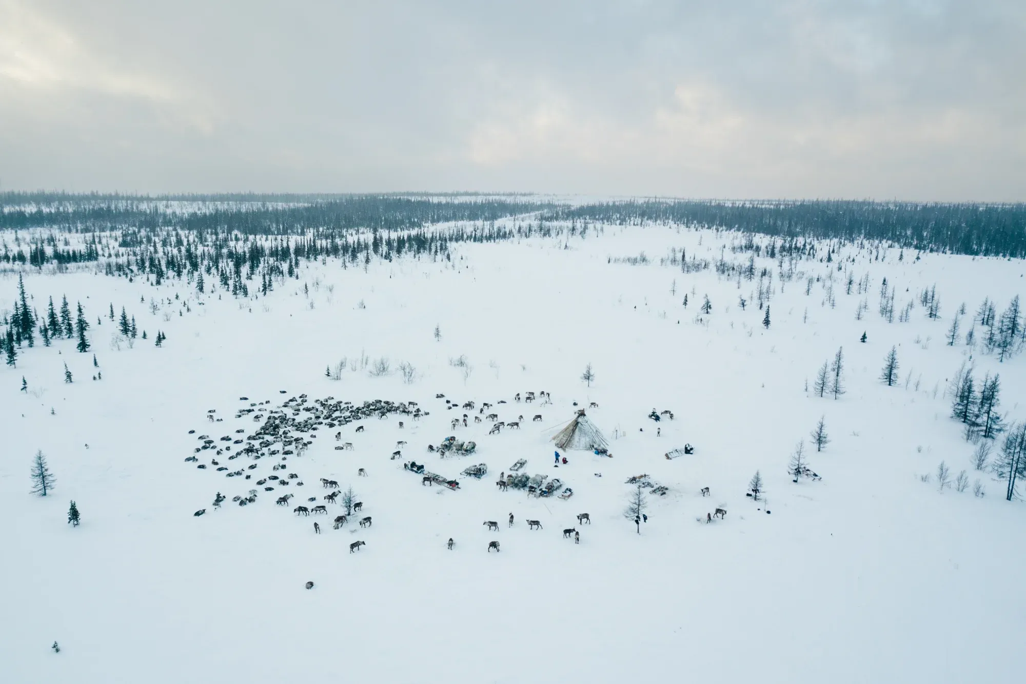 Масштаб тундры / Александр Мазуров