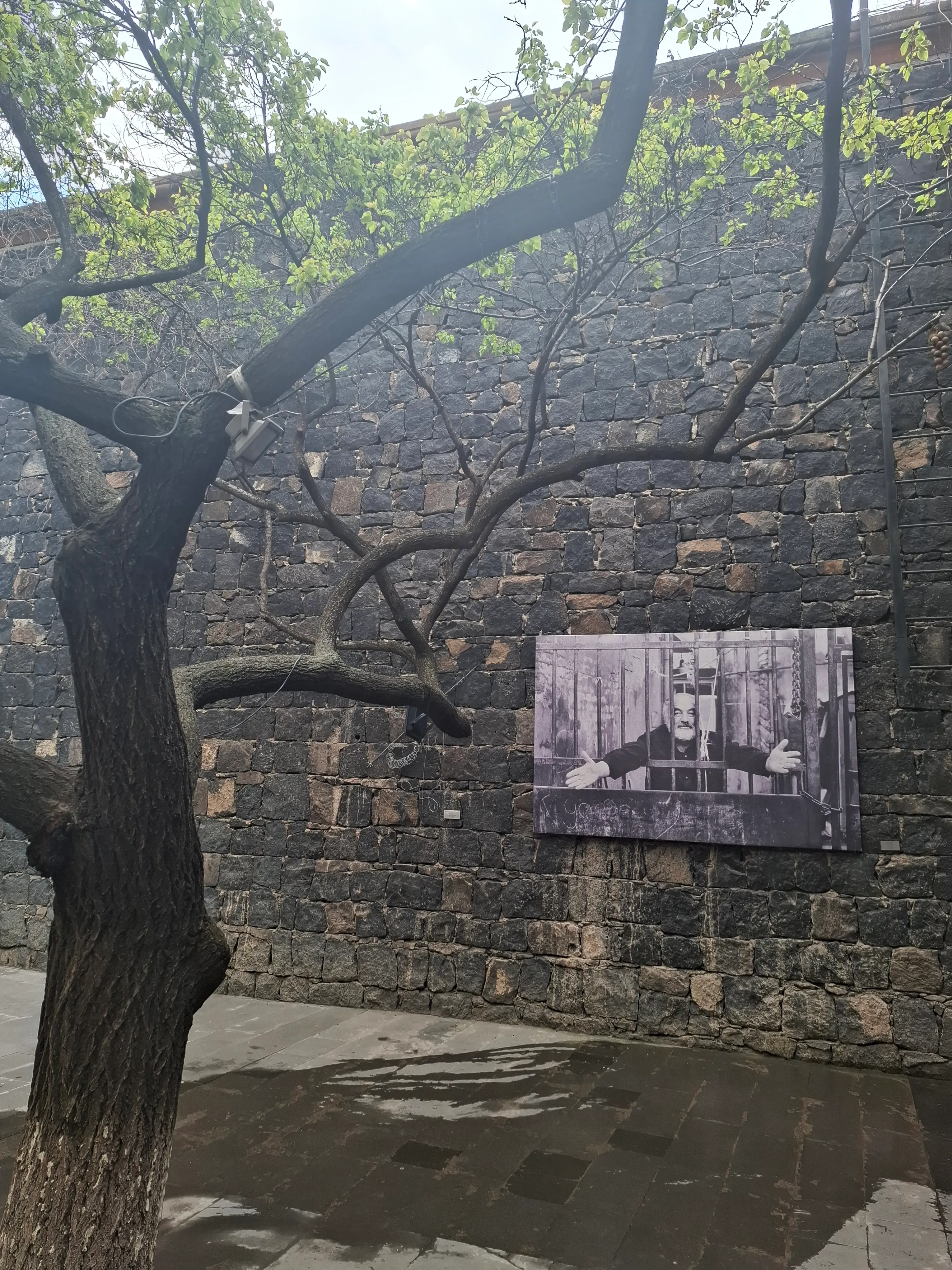 Во дворе дома-музея Сергея Параджанова. Фотография Айсылу Кадыровой