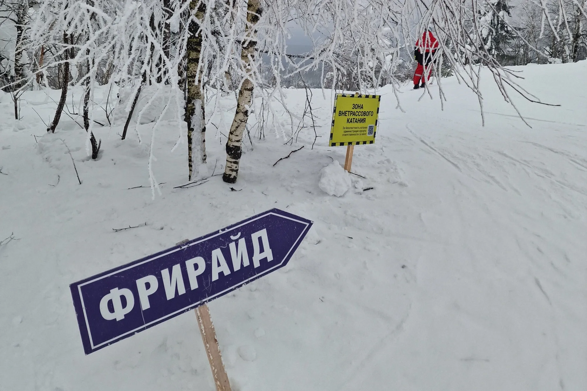 Тут фрирайд