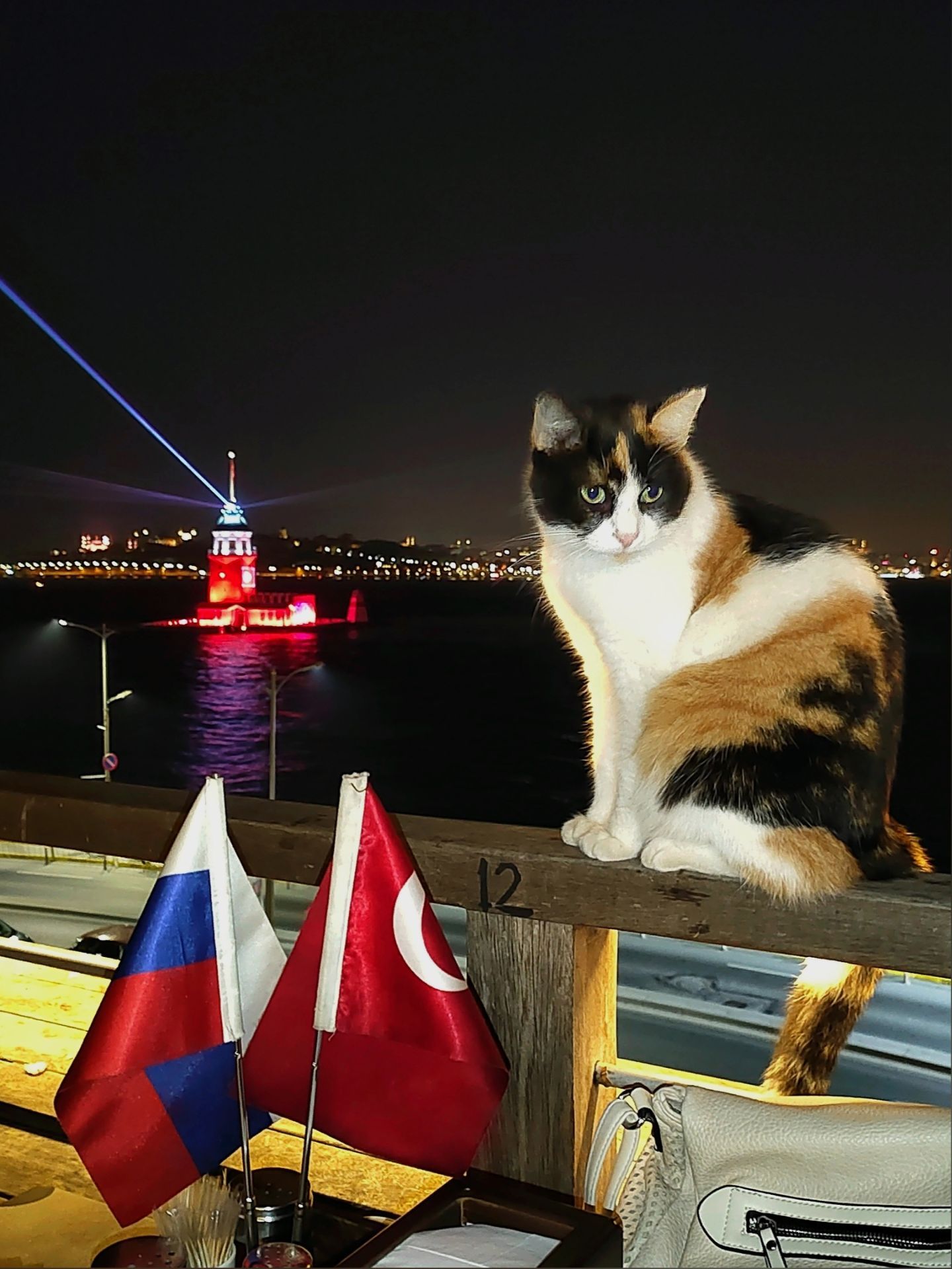 Наш русско-турецкий саммит:) Фото Дарины Устич