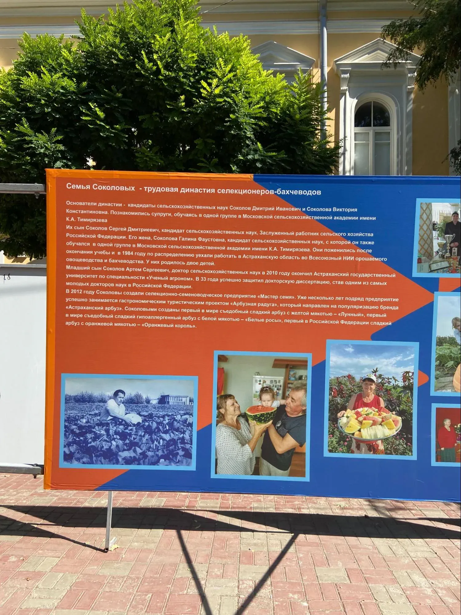 Династия бахчеводов. Автор фото Анастасия Пелевина