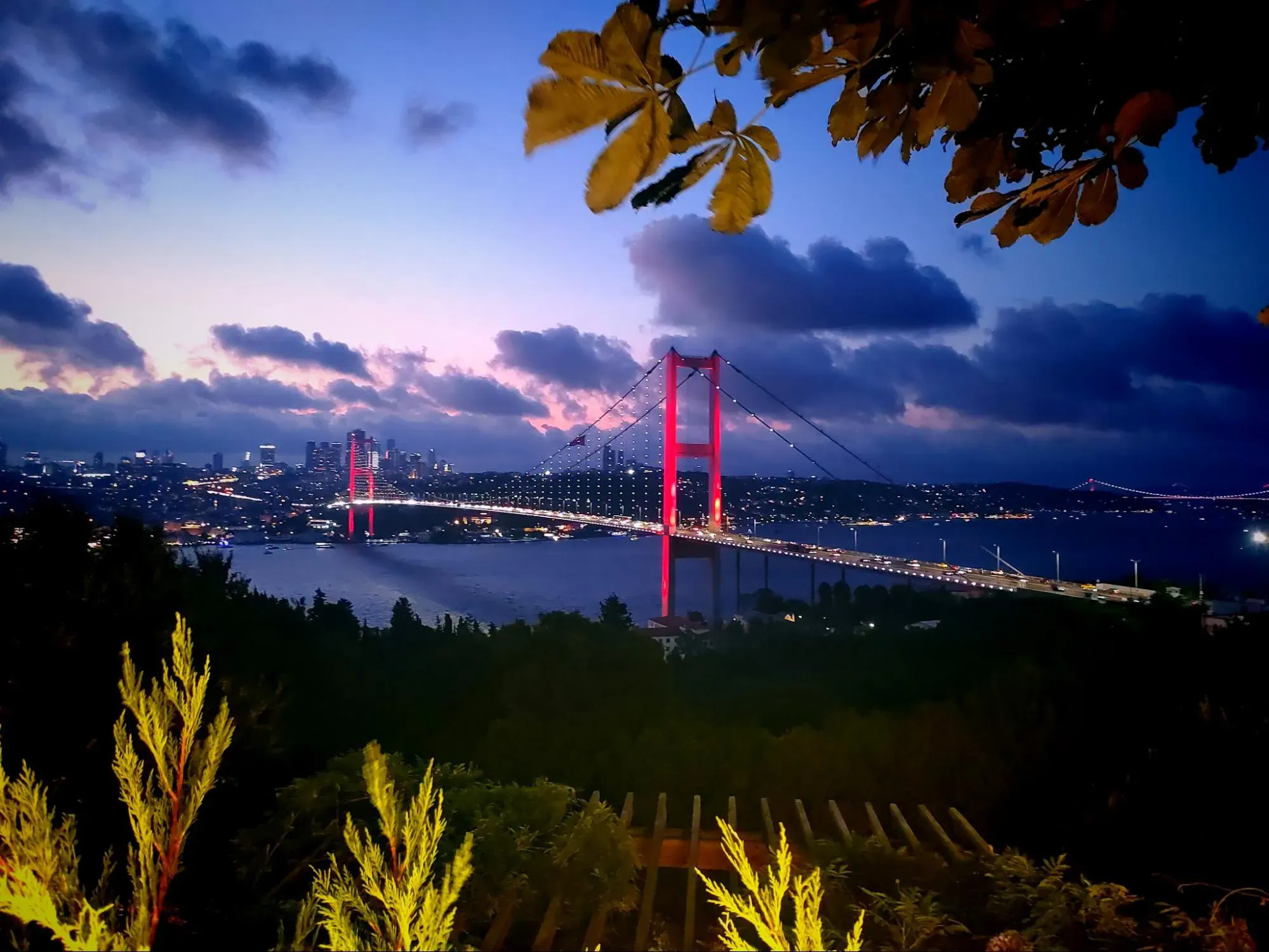 Эта магия доступна бесплатно. Фото Дарины Устич