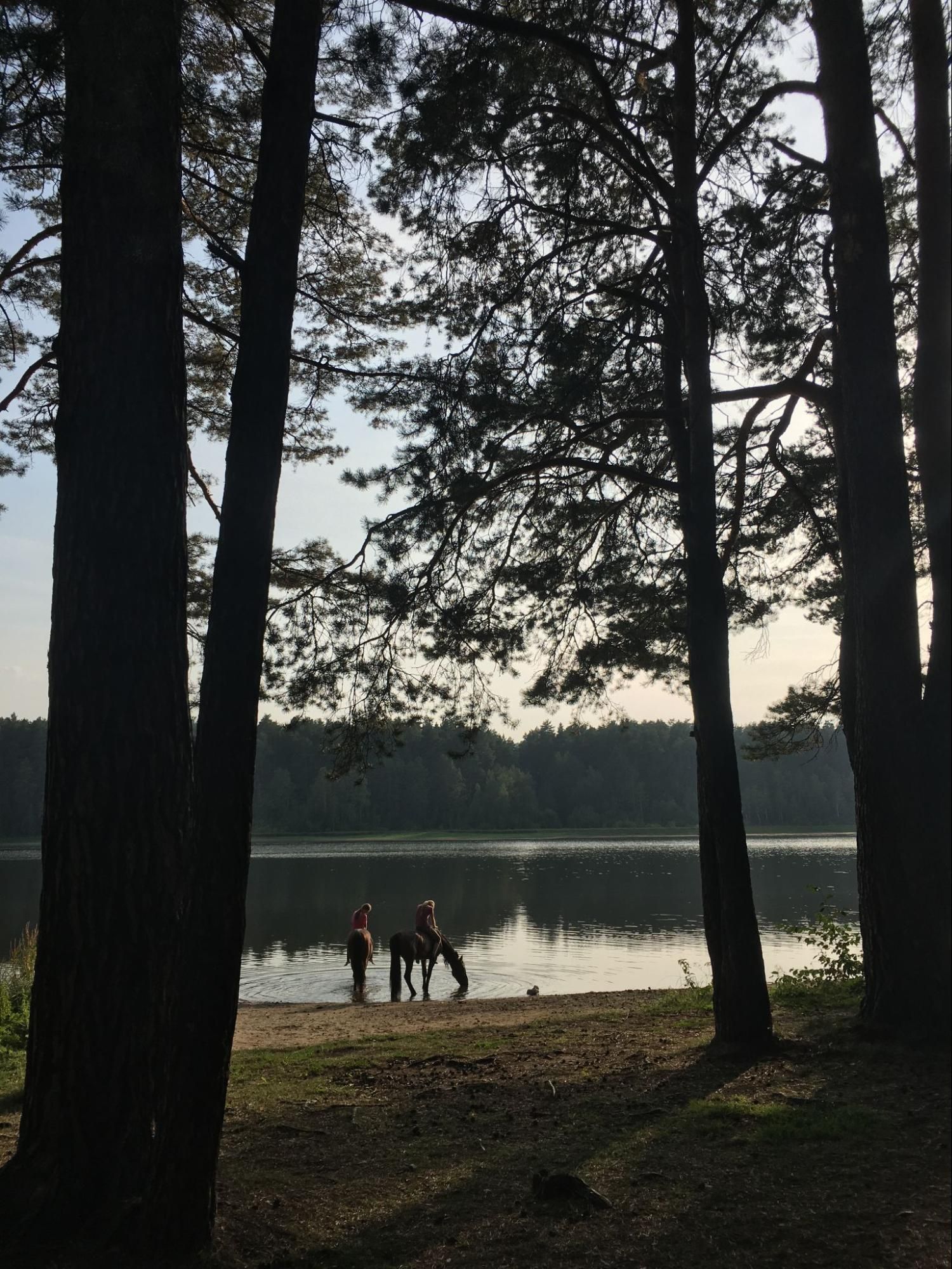 Бажовские места. Автор фото Анастасия Пелевина