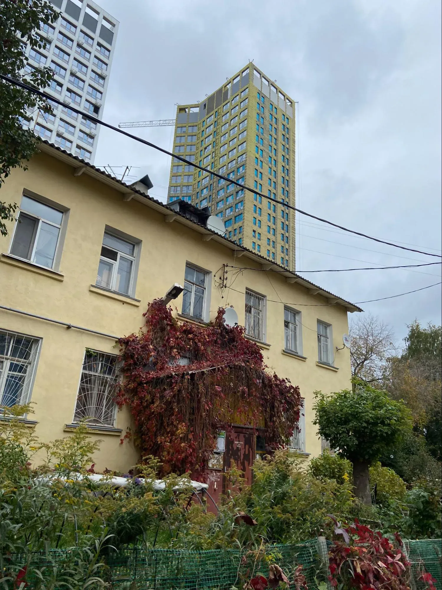 Застройка города. Автор фото Анастасия Пелевина