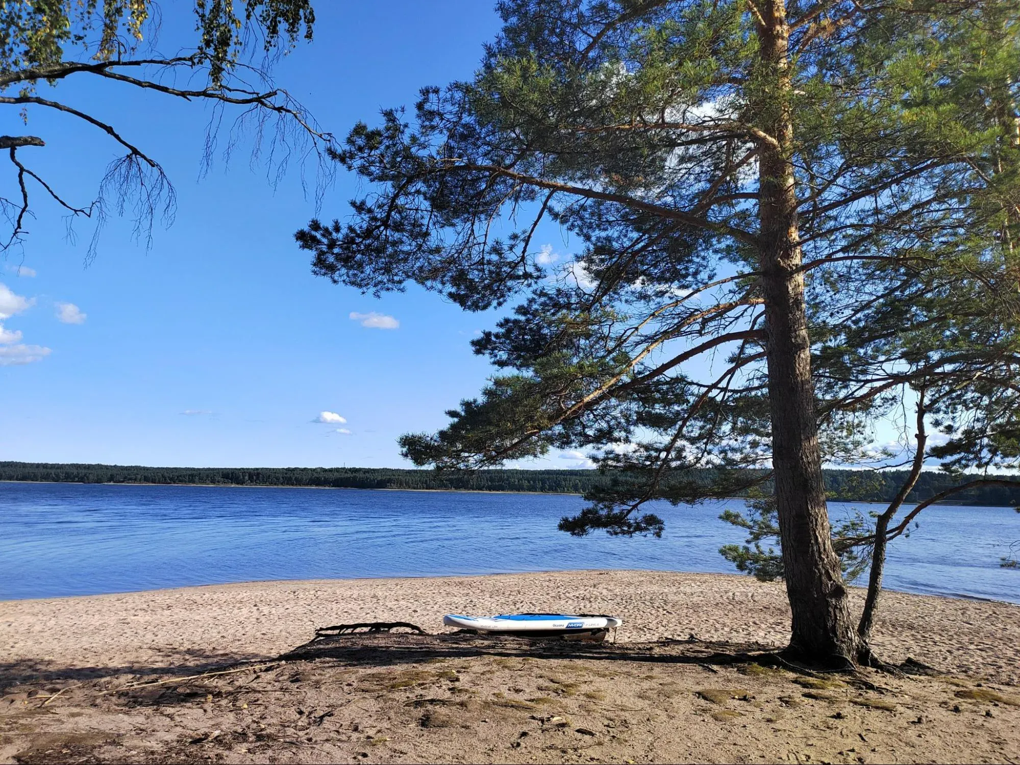 Отдых на природе. Фото: Дарина Устич / Суточно.ру