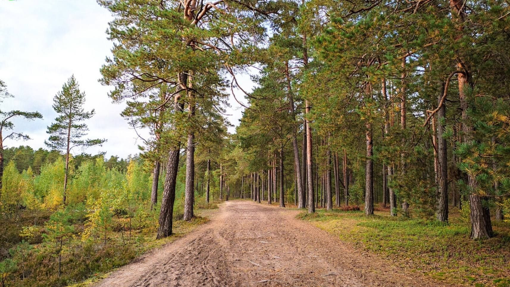 Путь по заказнику. Фото Дарины Устич