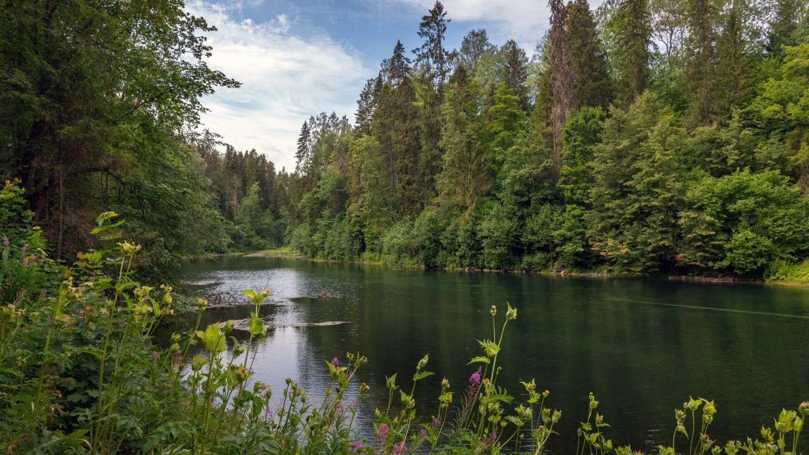 Панорама озёр. Фото Дарины Устич