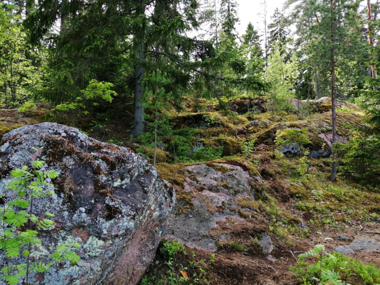Живописная тропа. Фото Дарины Устич