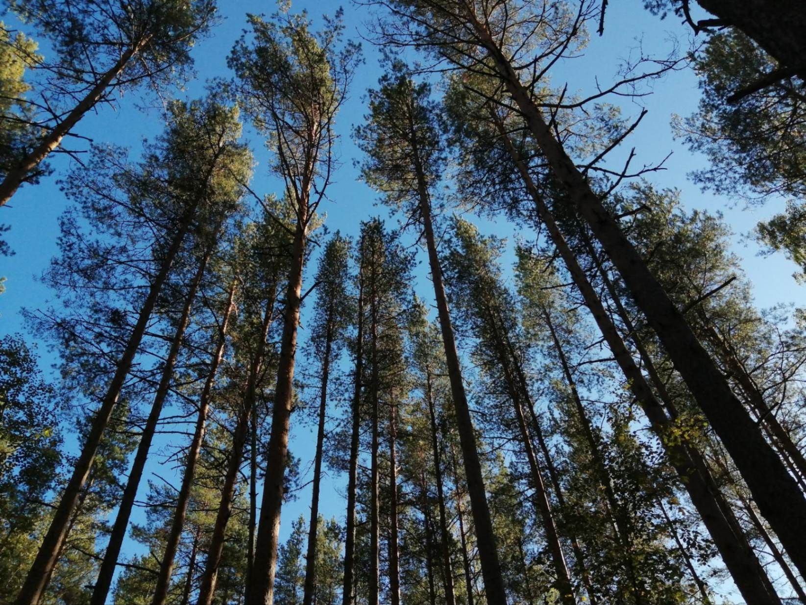 Дышится здесь отлично. Фото Дарины Устич