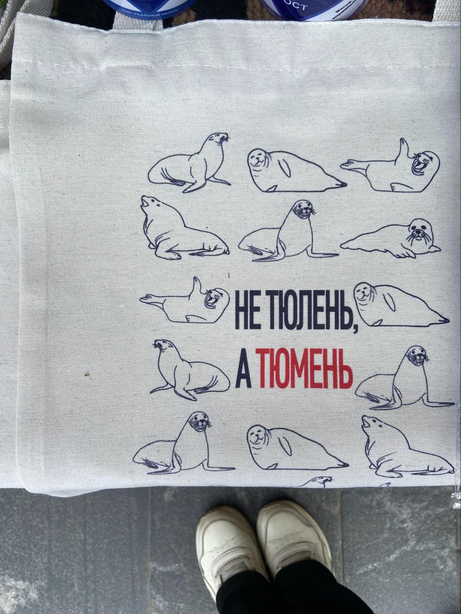 Не тюлень, а Тюмень. Автор фото Анастасия Пелевина