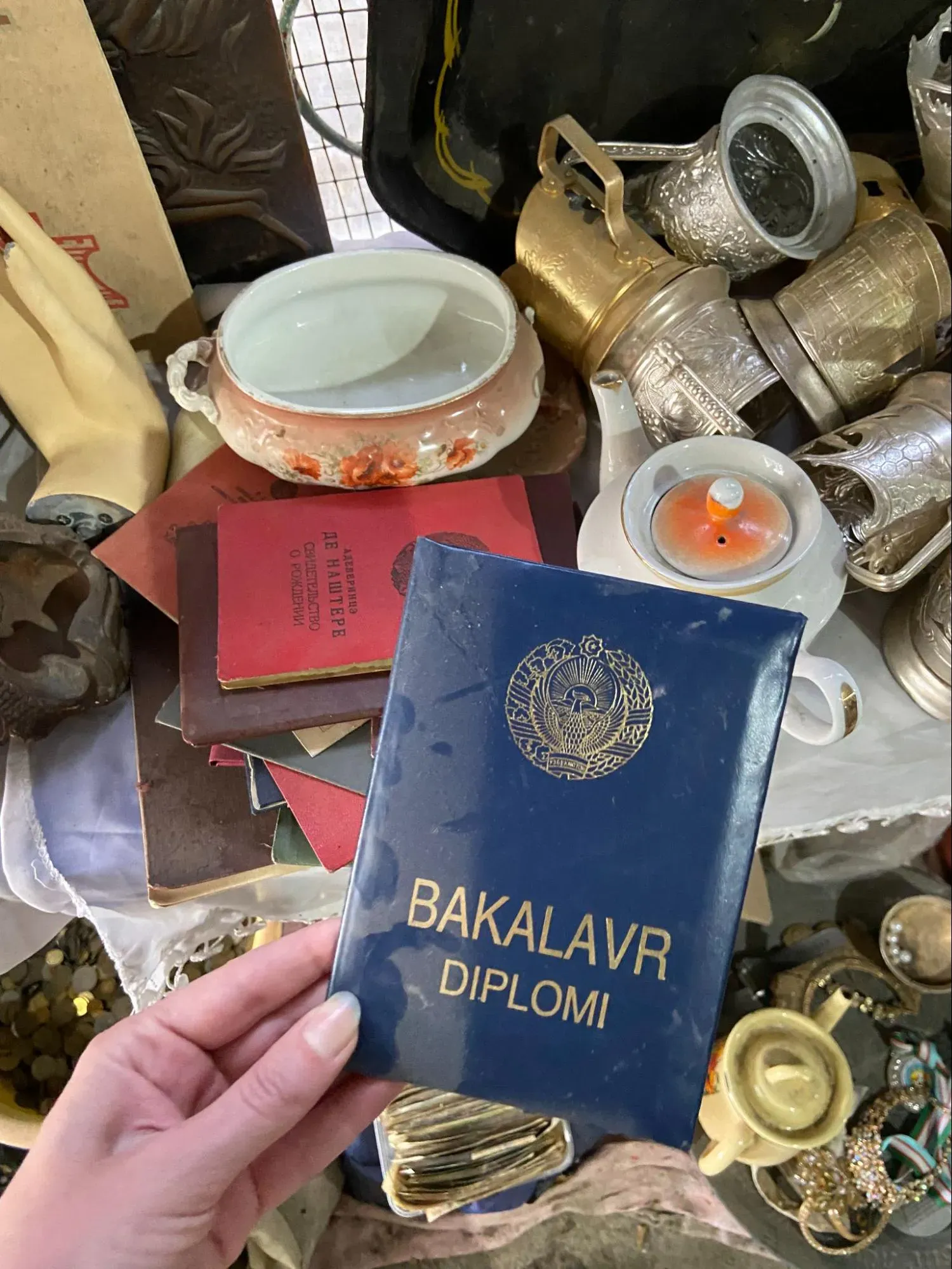 Диплом в пыли. Автор фото Анастасия Пелевина