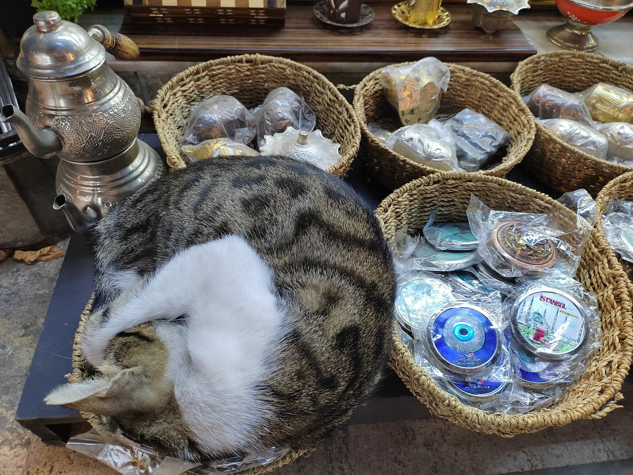 Самый лучший сувенир 🐈 Фото Дарины Устич