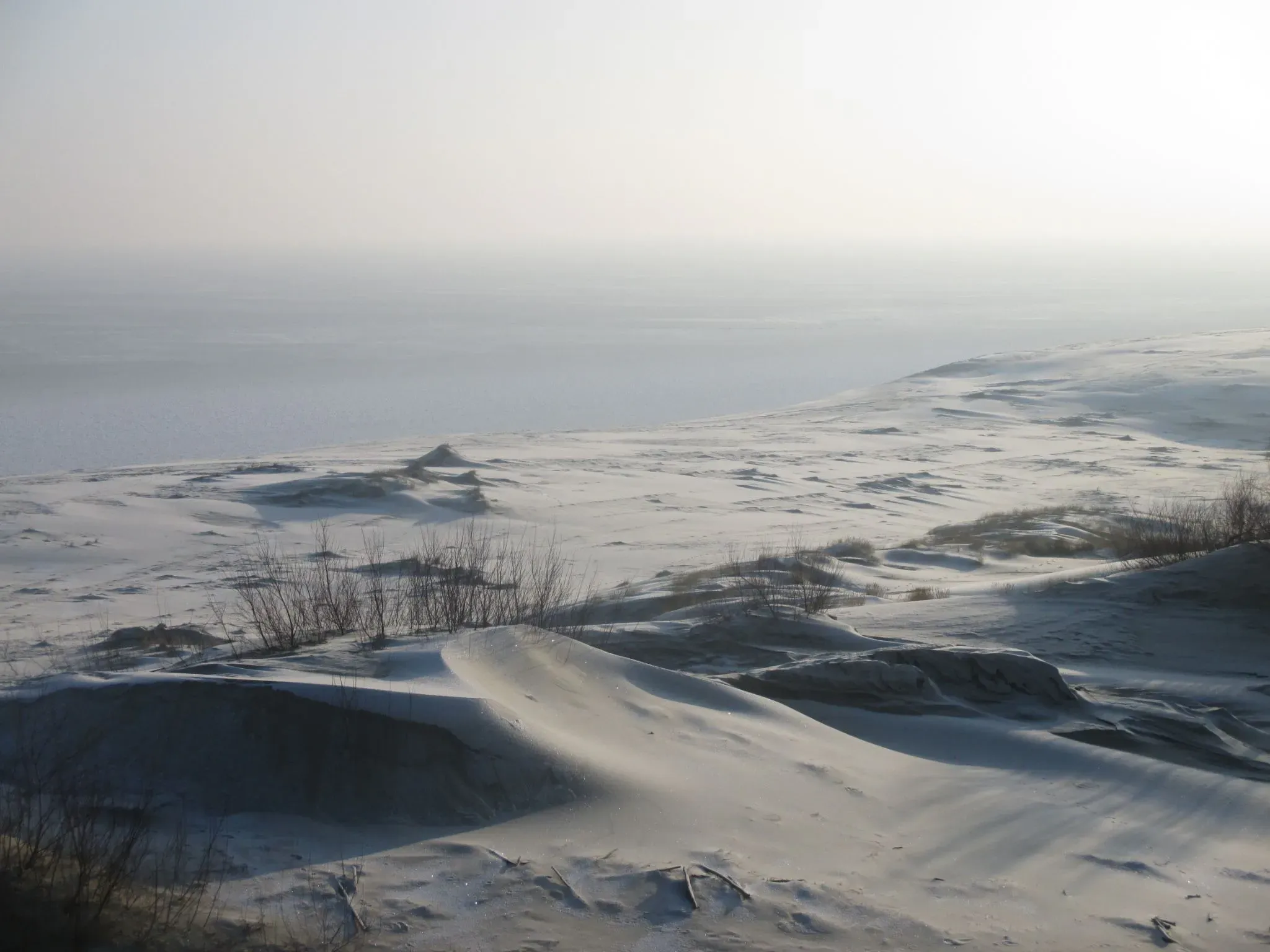 Дюны зимой. Автор фото Анастасия Пелевина