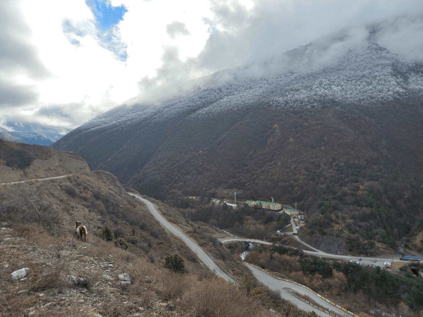 Граница тепла и холода / фото Дарины Устич