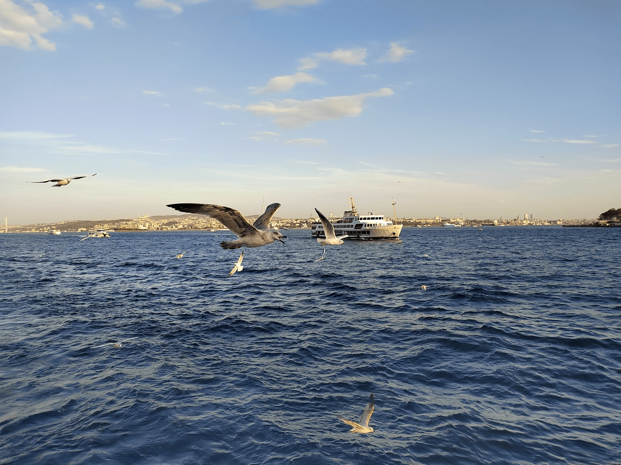 Путешествие на пароме к дальним точкам города. Фото Дарины Устич