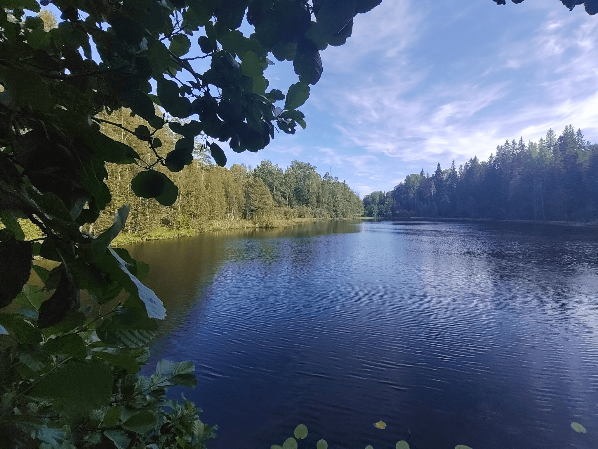 Озеро и тишина. Фото Дарины Устич