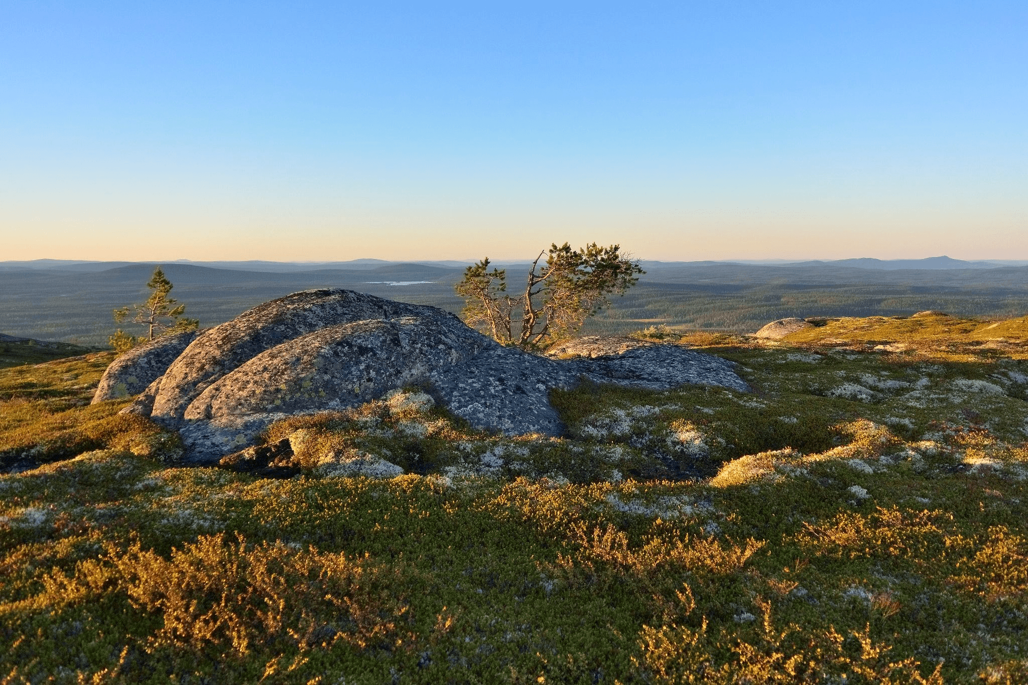 Гора Нуорунен. Фото: Andreykokin