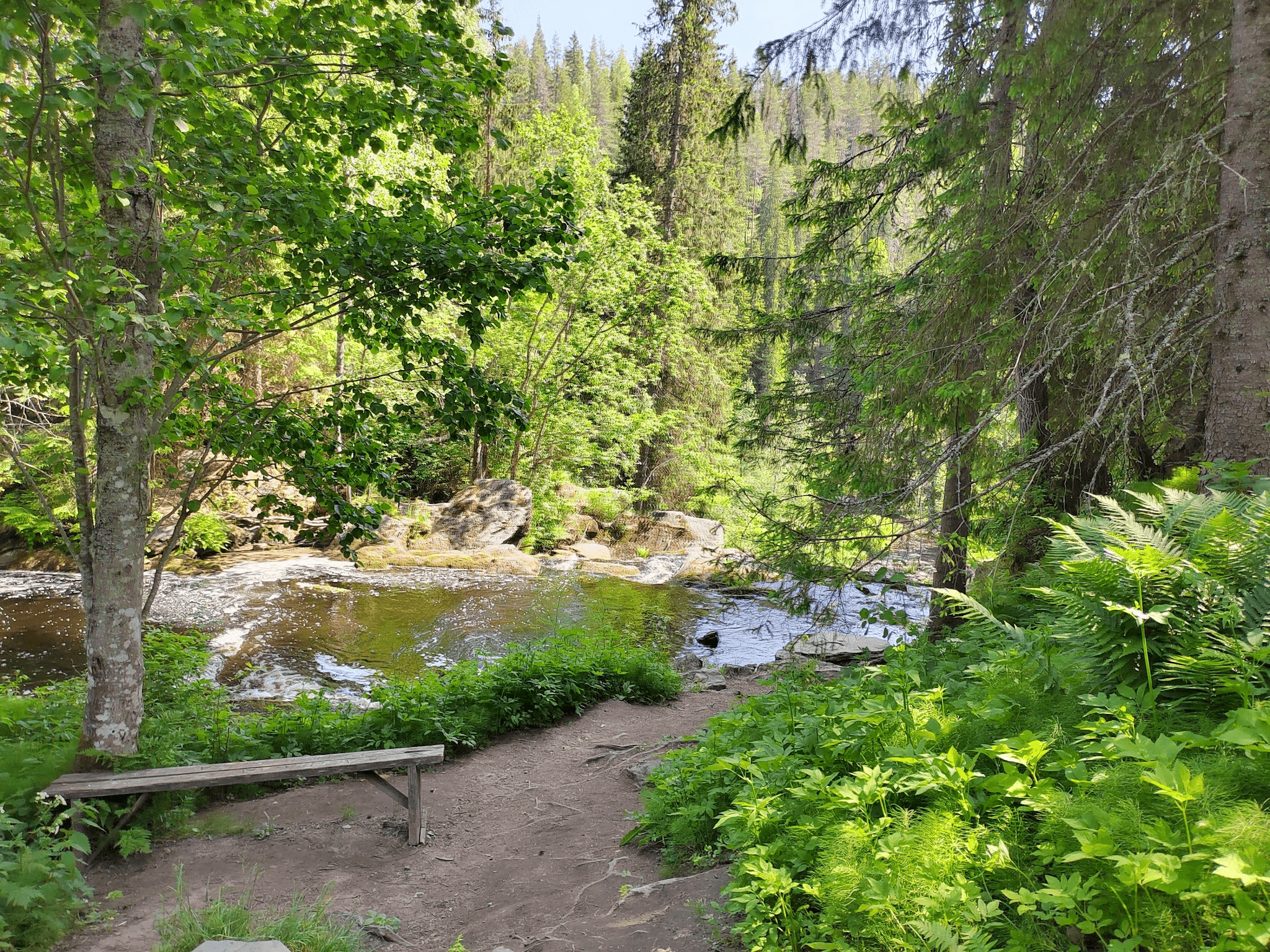 По пути есть одинокая скамейка для отдыха. Фото Дарины Устич