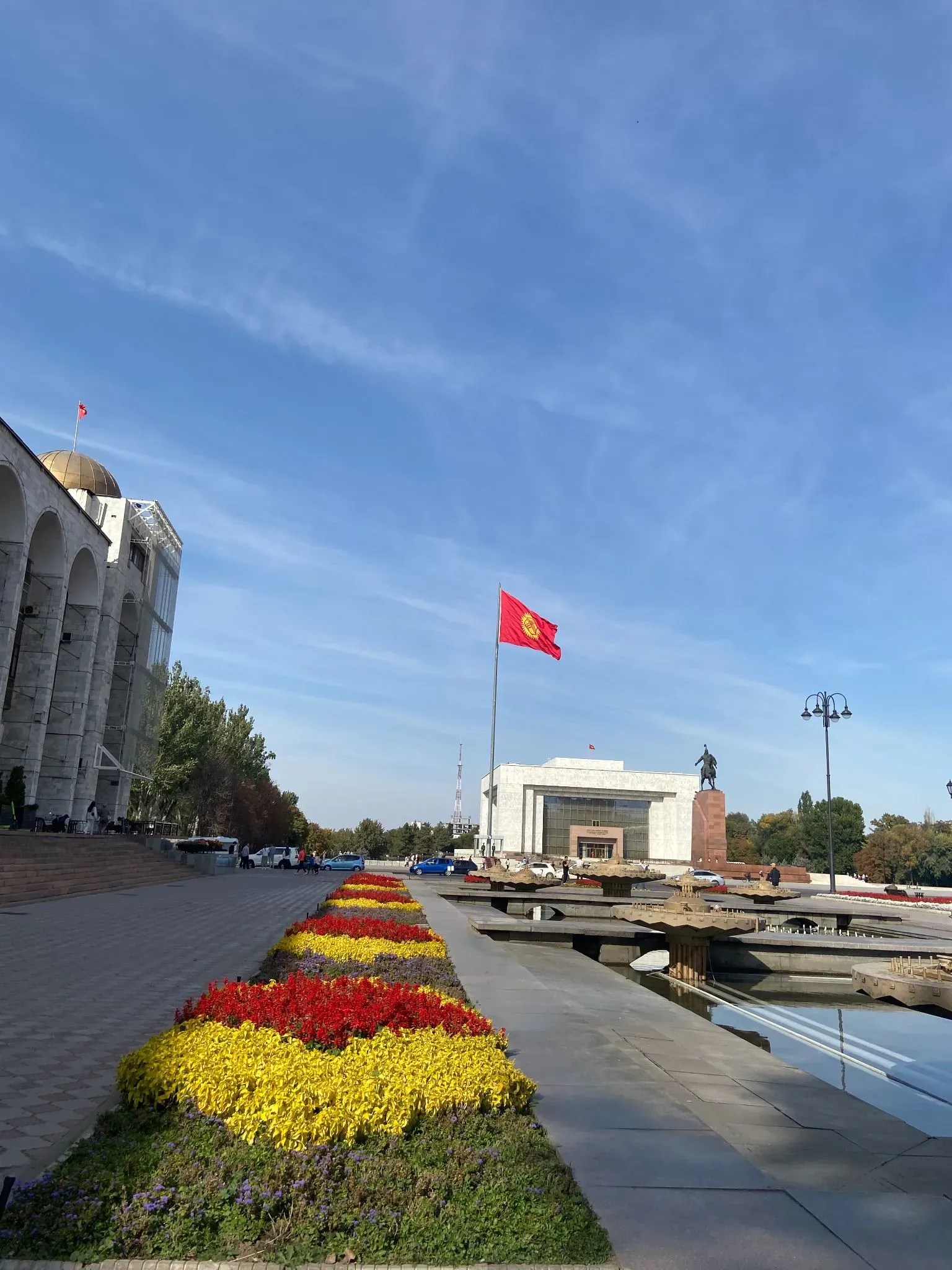 Флаг Кыргызстана. Автор фото Анастасия Пелевина