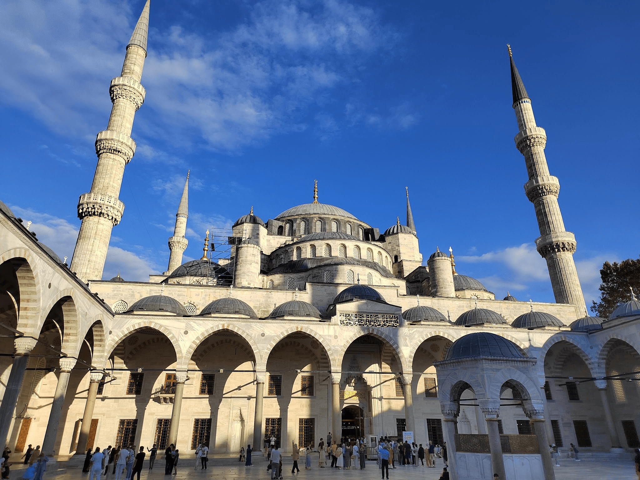 Вблизи она и правда большая. Фото Дарины Устич