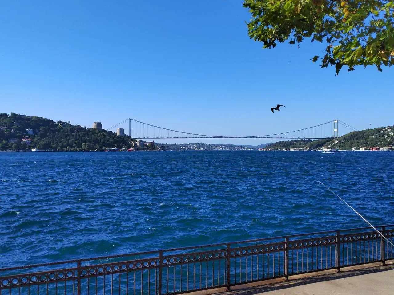 Кандилли парк. Фото Дарины Устич
