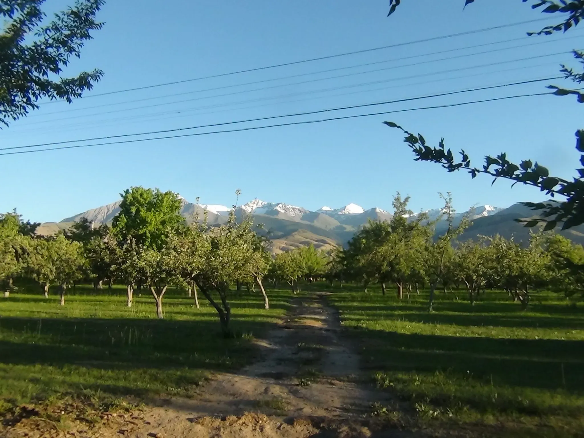 Тамга на южном берегу. Автор фото Анастасия Пелевина