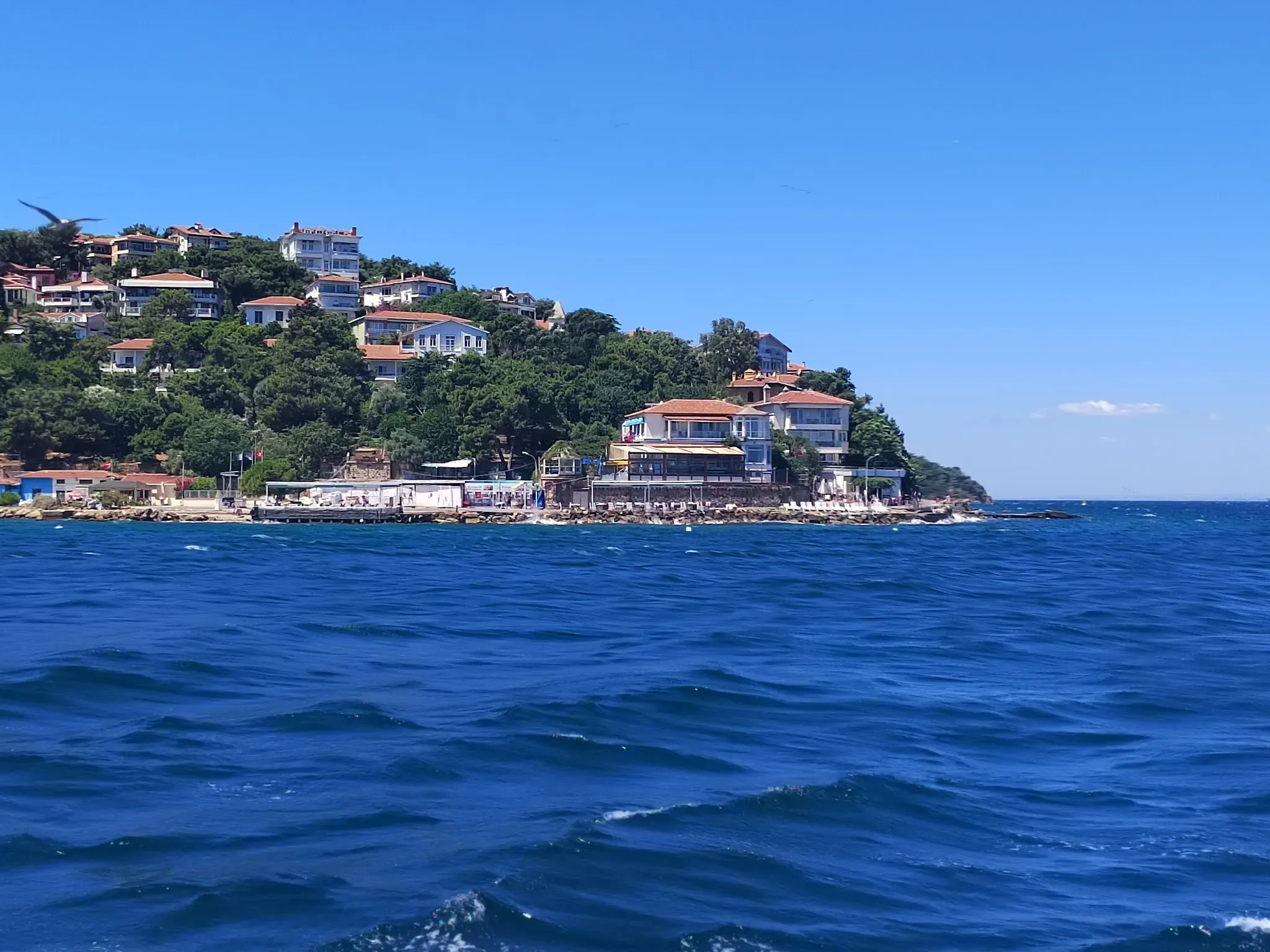 Панорама острова с парома. Фото Дарины Устич