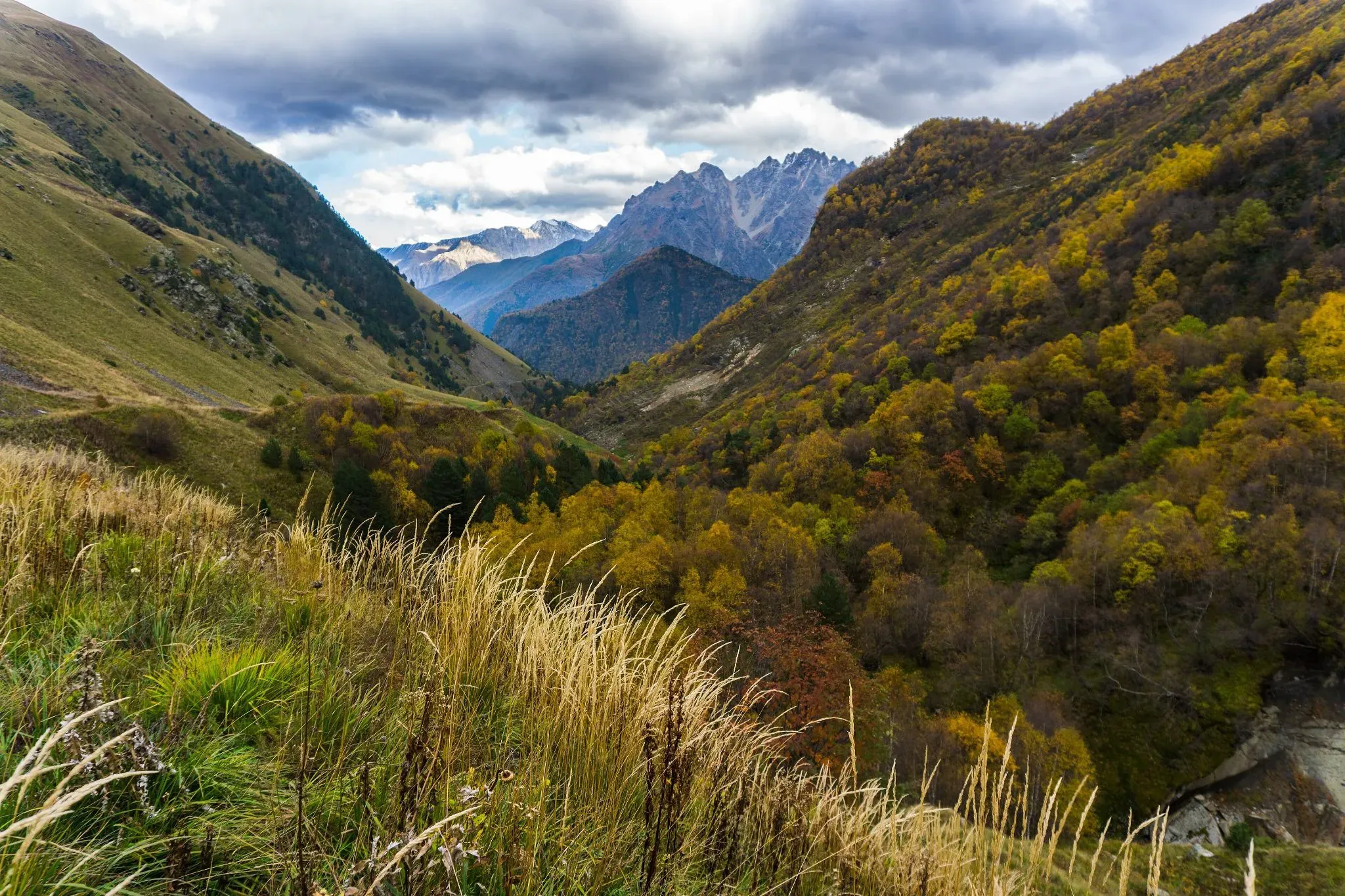 Дигорское ущелье. Фото: Trip.with.taste / Wikimedia