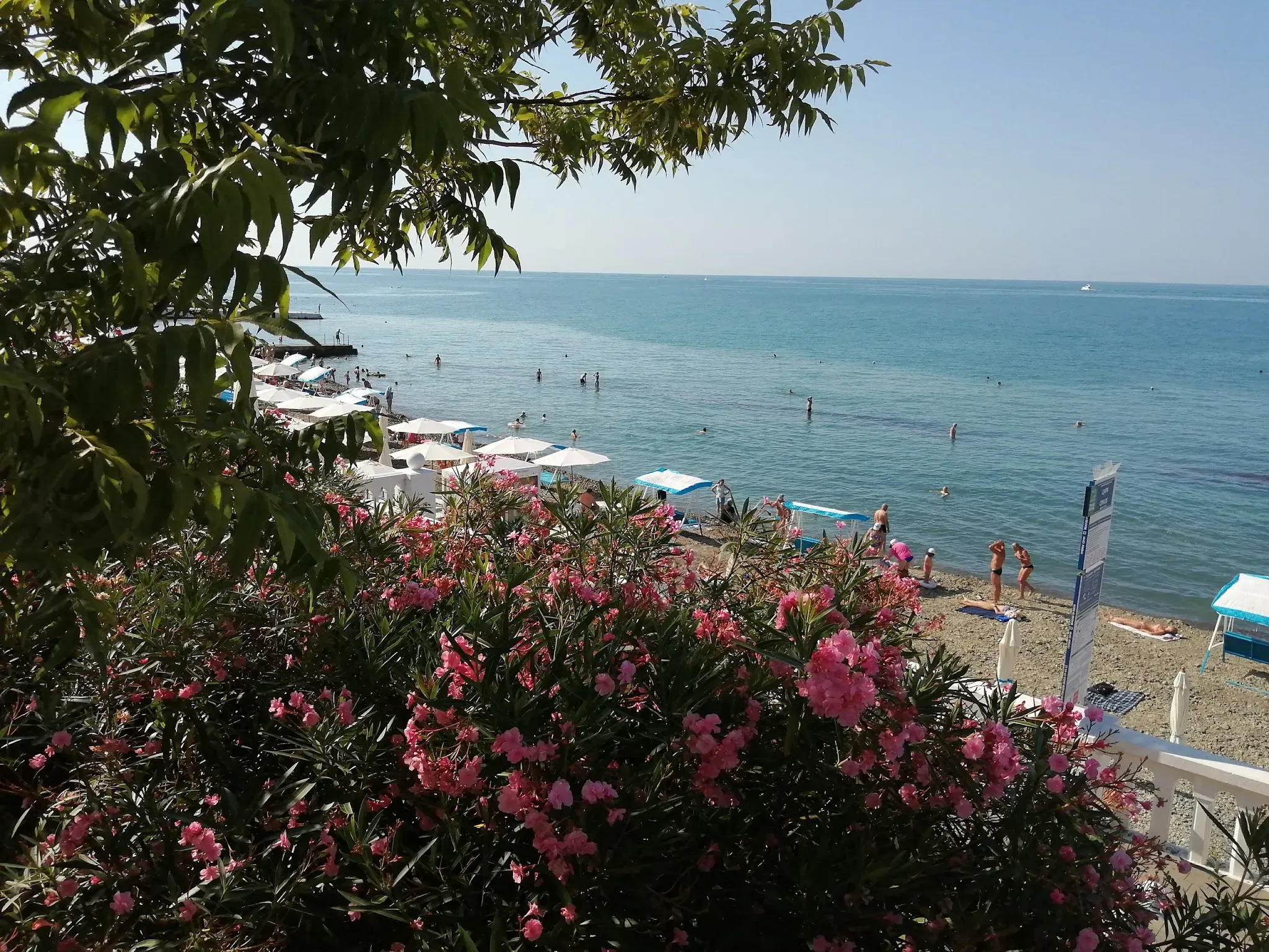 Родной Сочи и его пляжи в сезон. Фото Дарины Устич