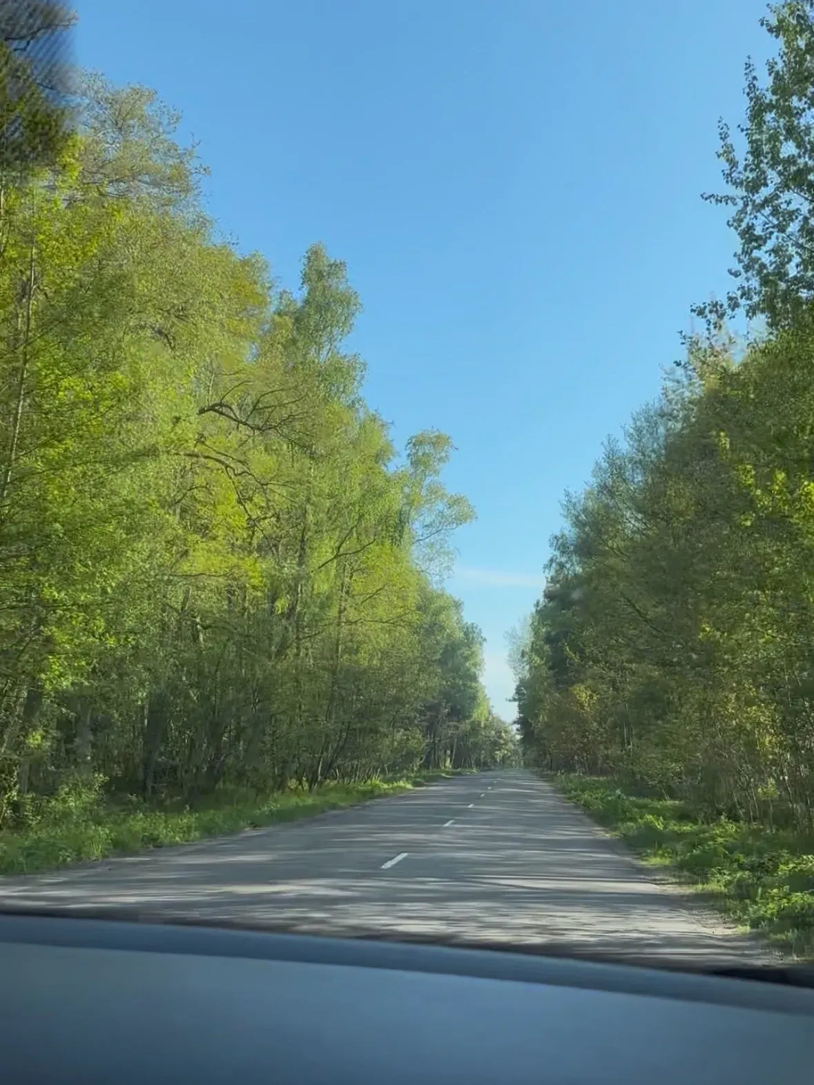 Дорога на косе. Автор фото Анастасия Пелевина