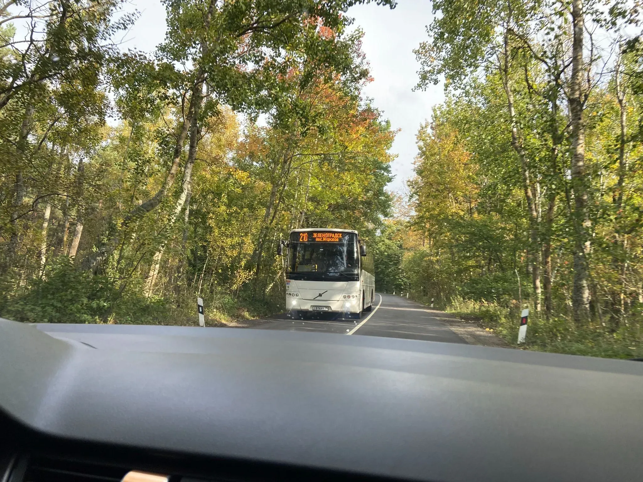 210 автобус. Автор фото Анастасия Пелевина
