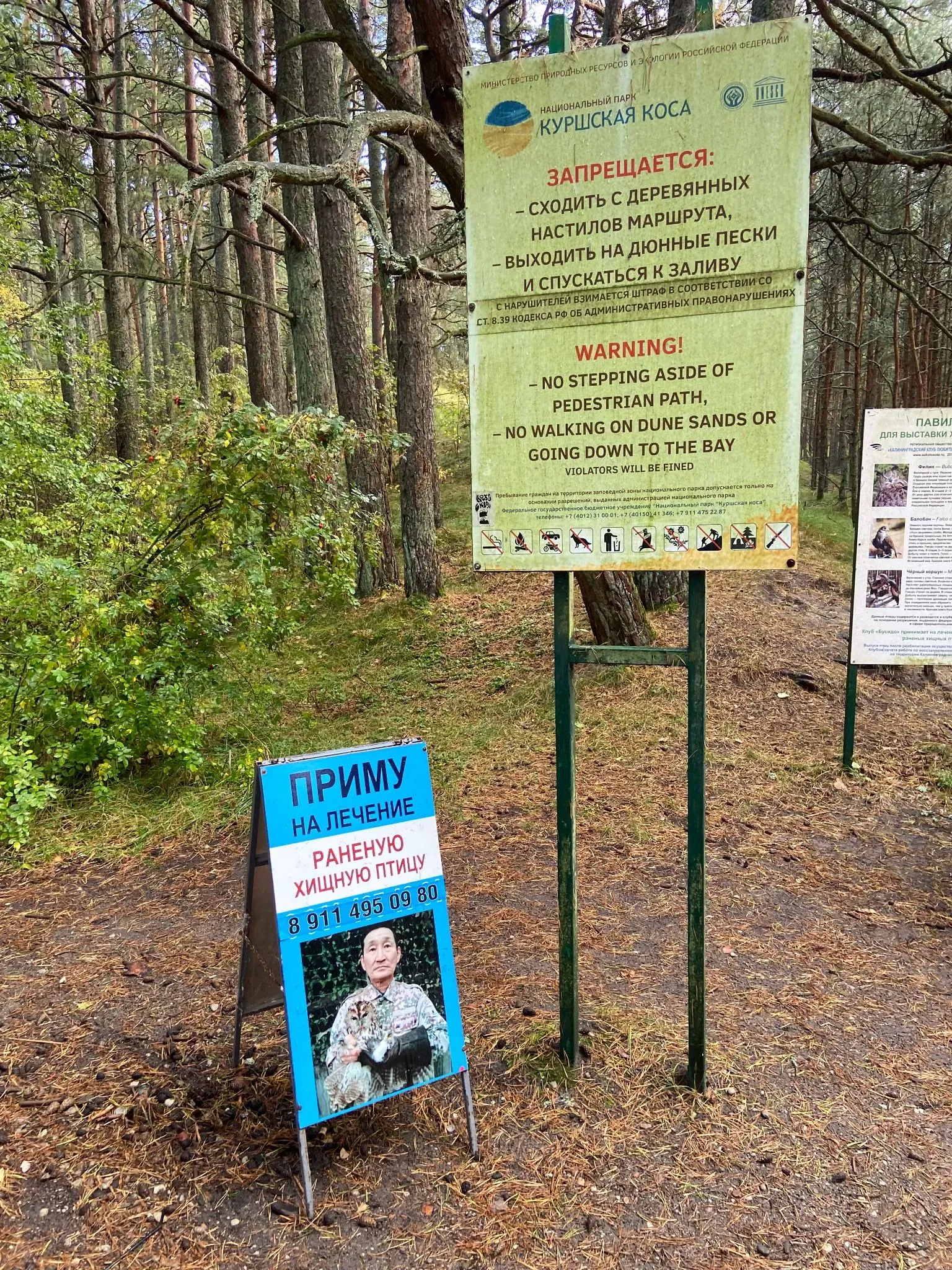 Птицы на лечение. Автор фото Анастасия Пелевина