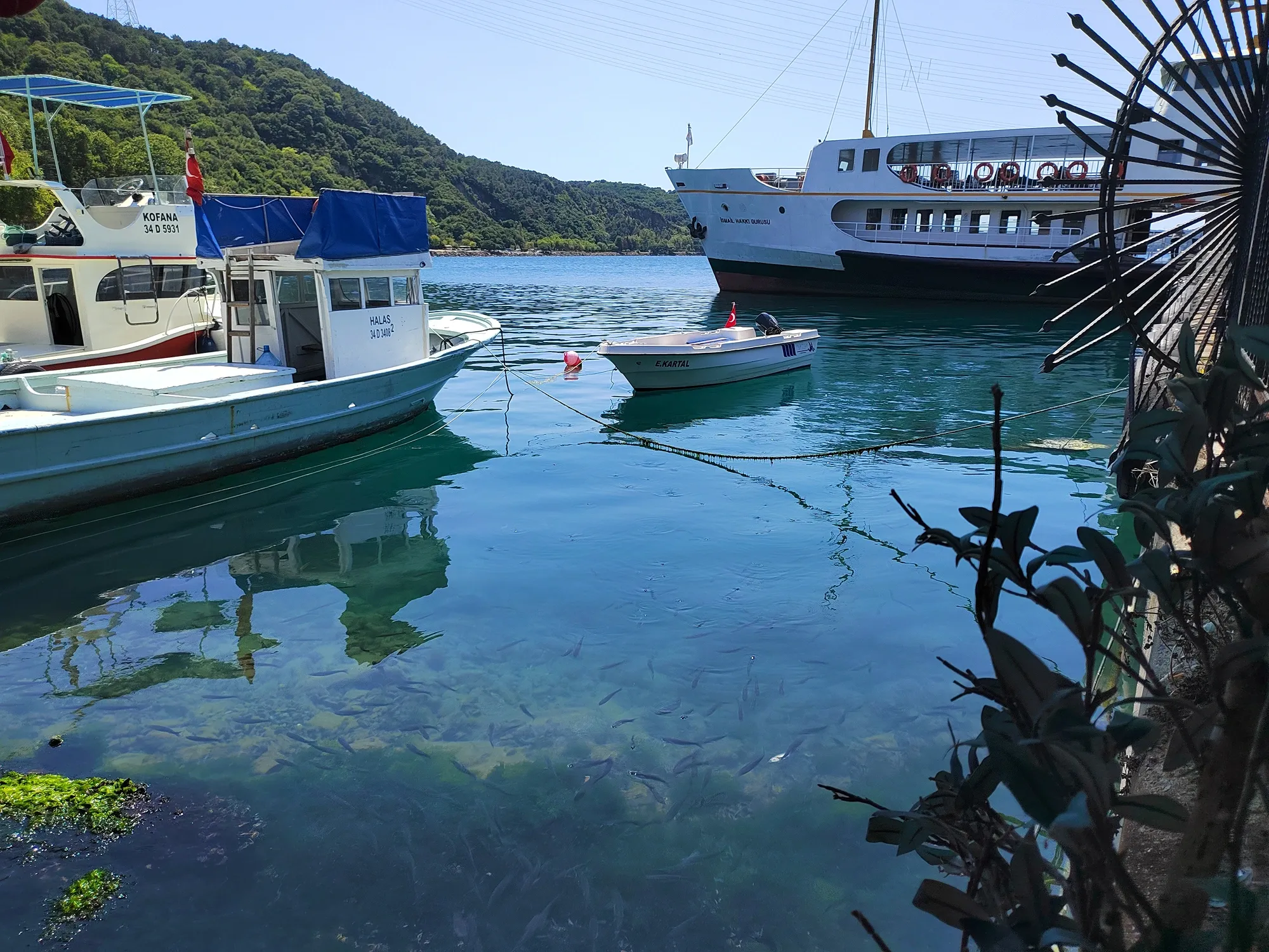Мидии мы ели с таким роскошным видом. Фото Дарины Устич