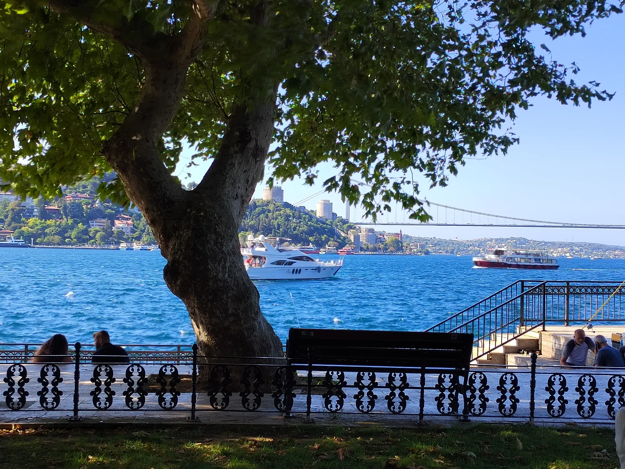 Вид из парка на Босфор и мост. Фото Дарины Устич